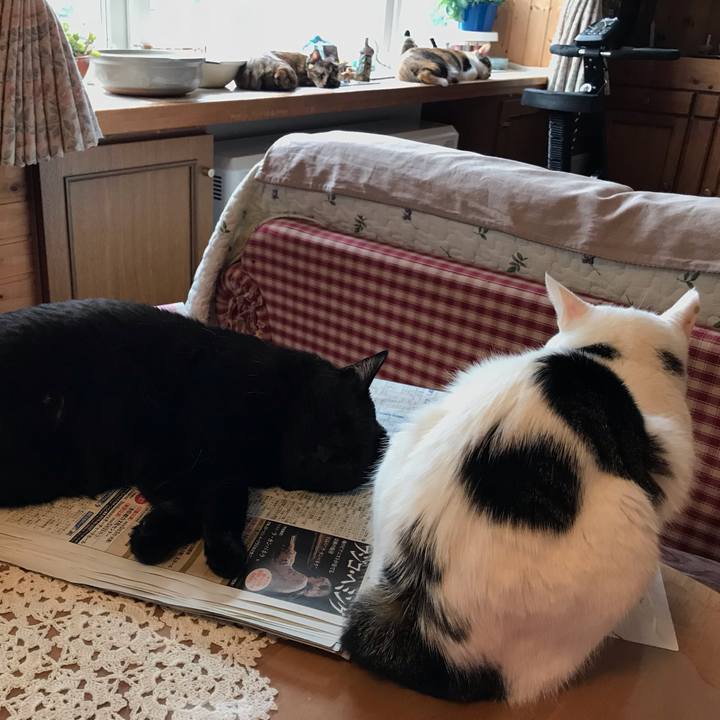 3eb629c6 c6c2 40e1 9fb3 c9038fd31d4a 1634943143879