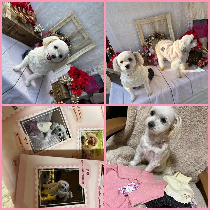 3eb645c7 1511 496a a38c a8ce2024b9c1 1670760113901