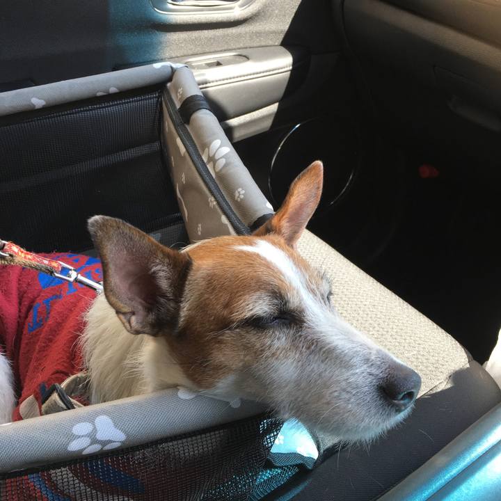 3eb699e5 07c4 42fd a5b6 ea75612f6232 1553484799617