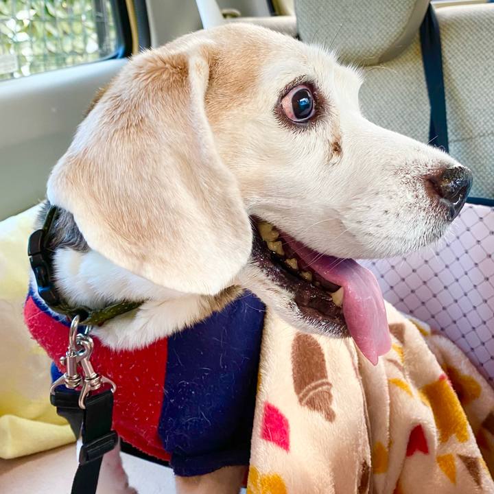 3eb6a74c 0312 4324 86d9 2c48aba0afc6 1669259404204