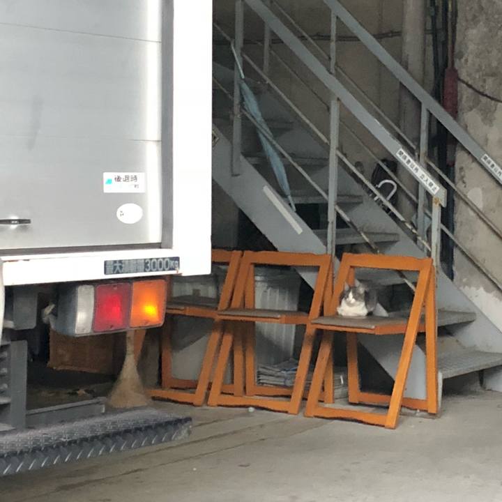 3eb6e694 7dab 4668 9f72 61904d9d26bd 1534673473910