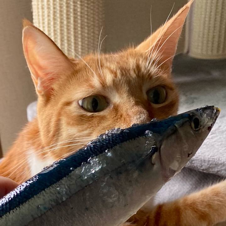 3eb73cb5 92c5 438b a015 f6e1110388f9 1758629248200