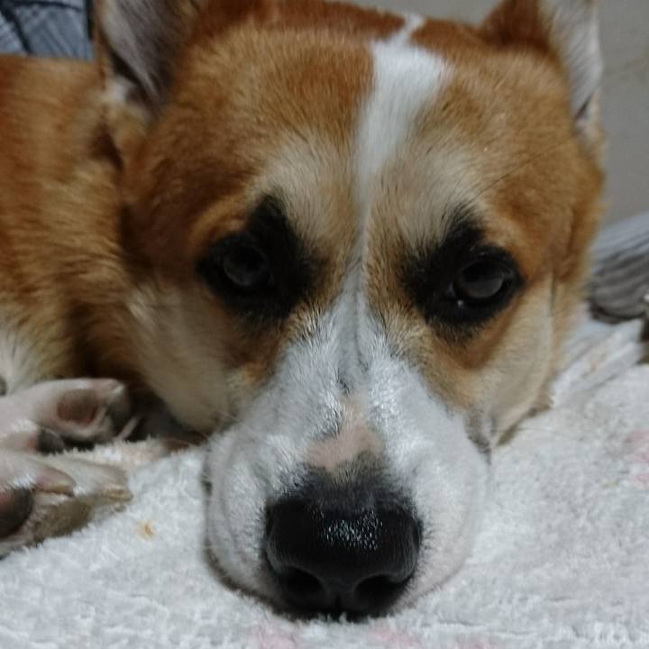 3eb751fb 308a 458a a443 8cac1087dc52 1596720363384