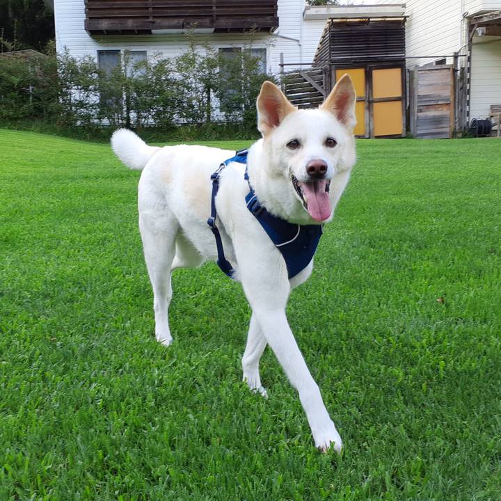 3eb75d9b a00f 4e79 97a5 118a861a7dbc 1686042631191