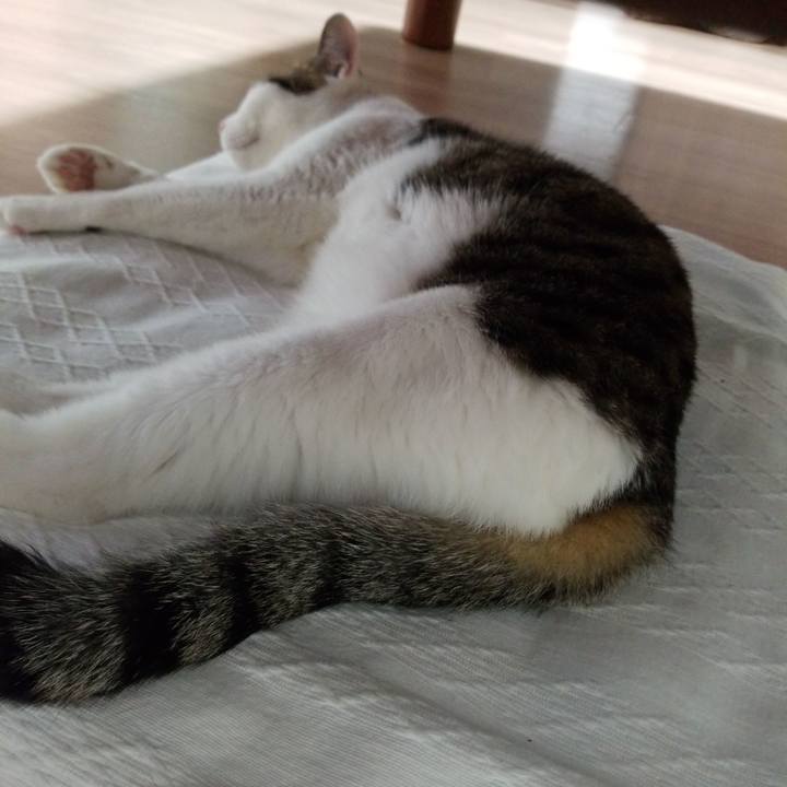 3eb76cc6 42d6 474c b570 848f0b848c84 1585516836173