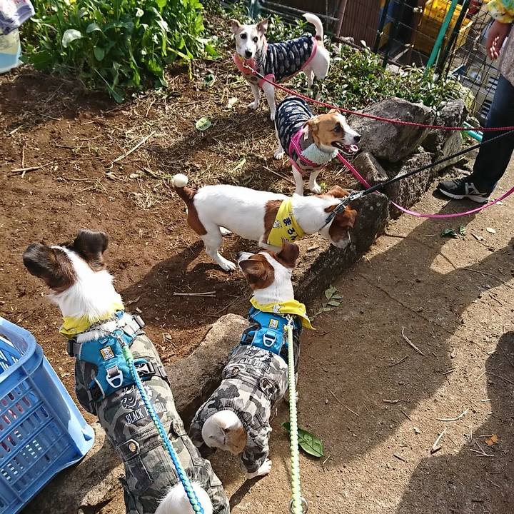 3eb7a1f0 d230 4eef 9110 70a095894460 1576415401568