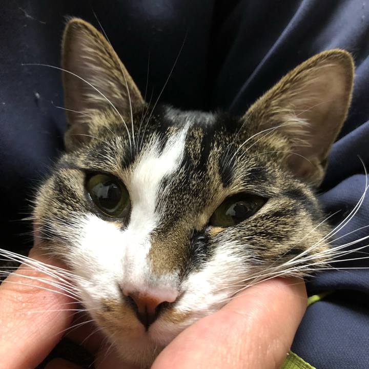 3eb7a3a4 6efa 47d0 b383 b768d265285d 1516619180130