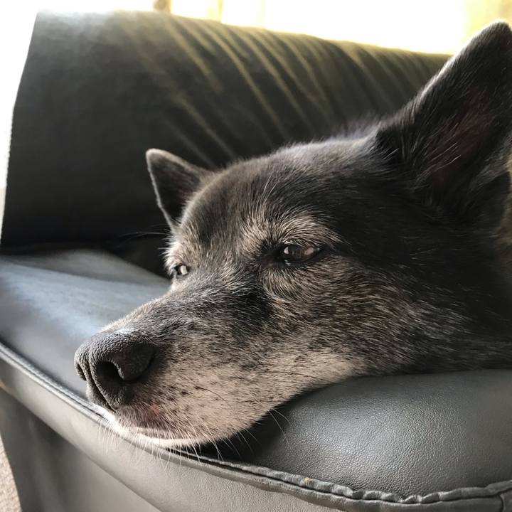 3eb7a46e c4ac 4c9c 9ae3 20e3dd4dae95 1566867803859