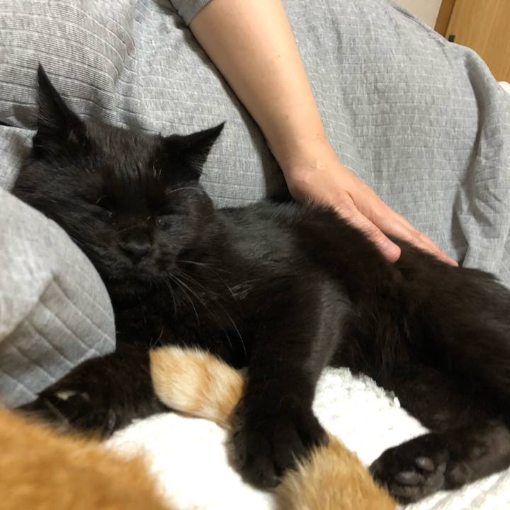 3eb7e3ca 5450 47d3 bb2d 0dfc46bec447 1595329890772