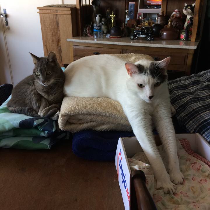 3eb7fffd 8553 4cdc 85bf 3d0dd1cec940 1528817597750