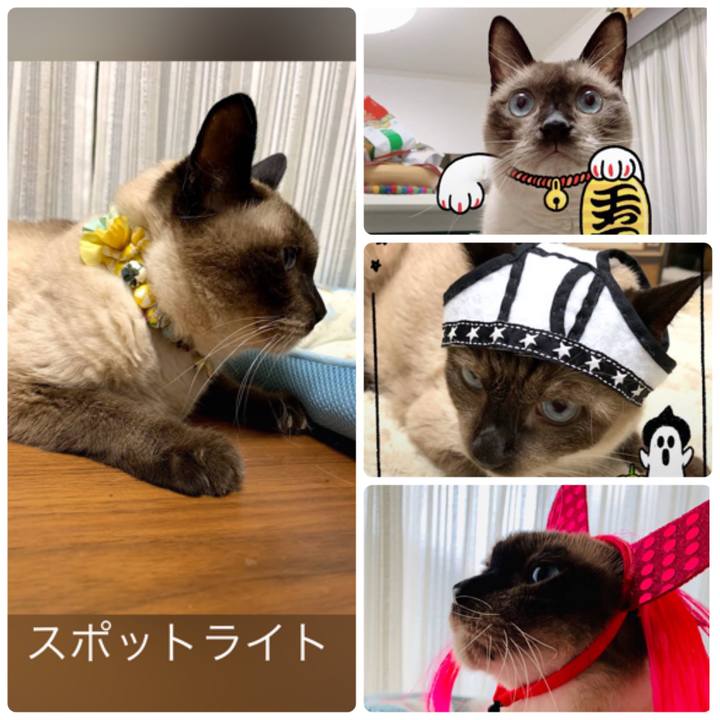 3eb81c20 8209 43cb a885 7a70555313ad 1627337878696