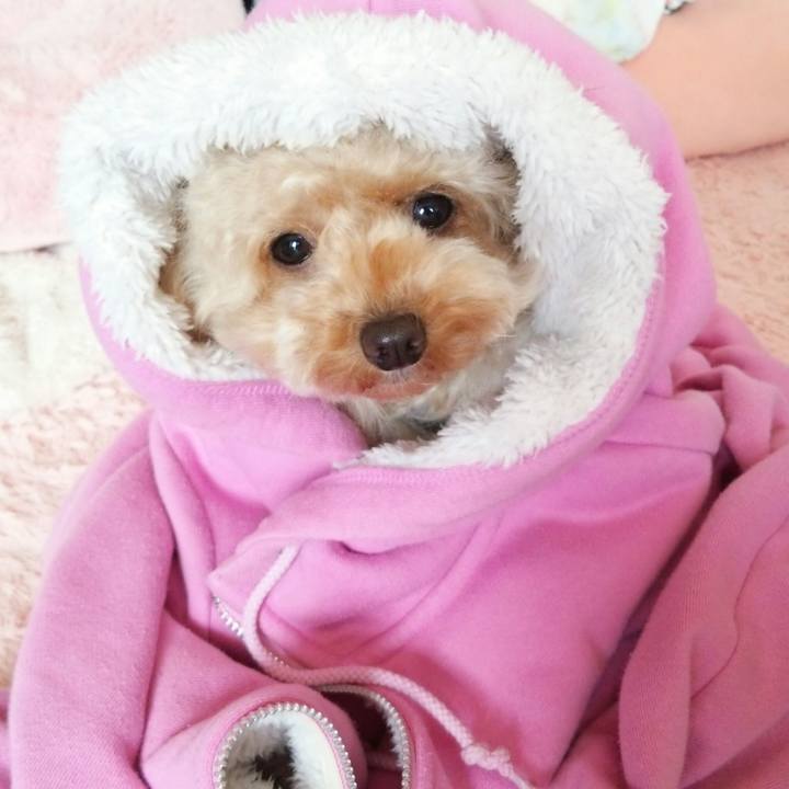 3eb830c0 fe76 4a1f aea5 b6d37ef98204 1540888276580