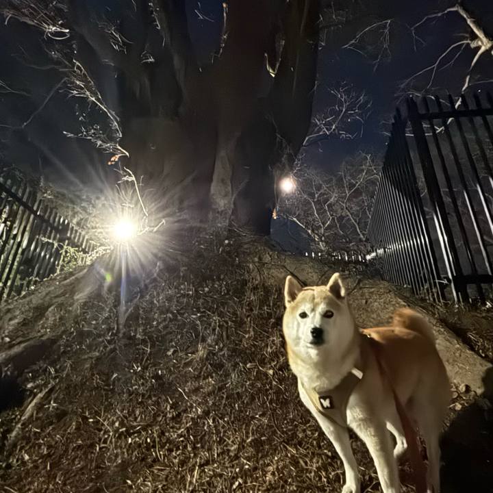 3eb8333c e073 4747 a148 ce1e0e30587b 1739994665734