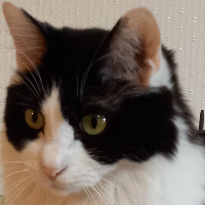 3eb83558 3077 4207 974f 1033c67ef054 1607758572853