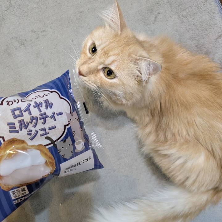 3eb8505e 0aa6 472d a802 def4e6f1ac86 1761655082252