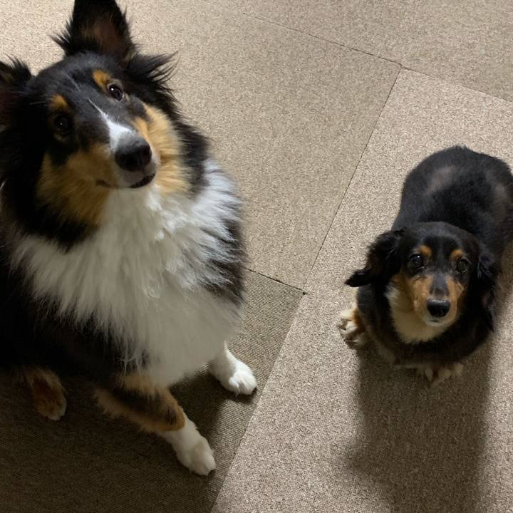 3eb85ad5 574d 43e1 99f1 896936703d96 1566687081412