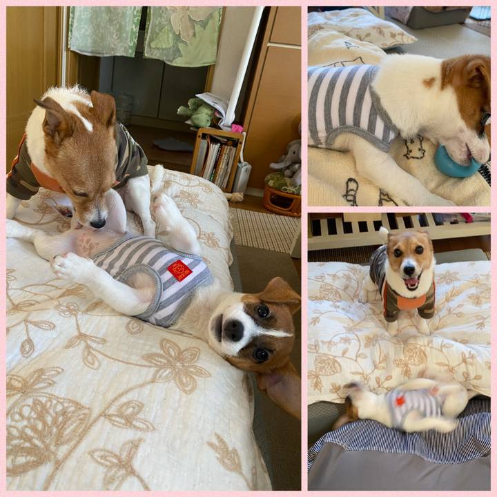 3eb8a187 d6db 49d3 a69d a3a544c3ecc1 1697247250708