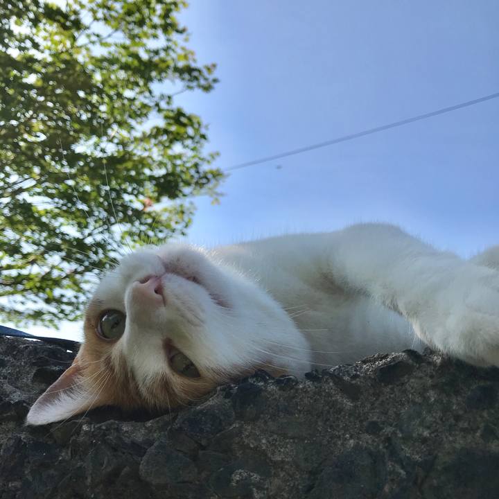 3eb8a485 6a99 4271 94a3 e625e6941453 1530487424269