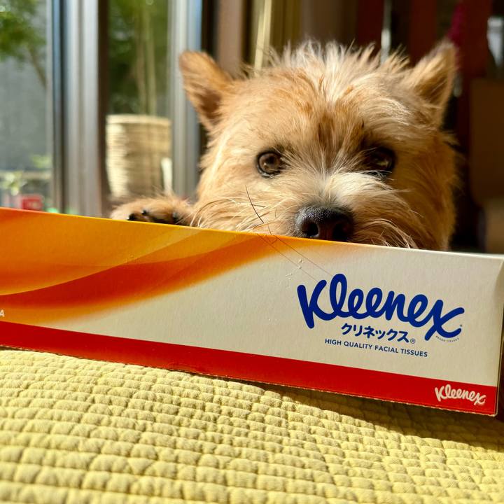 3eb8a49e 9a4f 41d4 9b81 b935e784f9cf 1763187217033