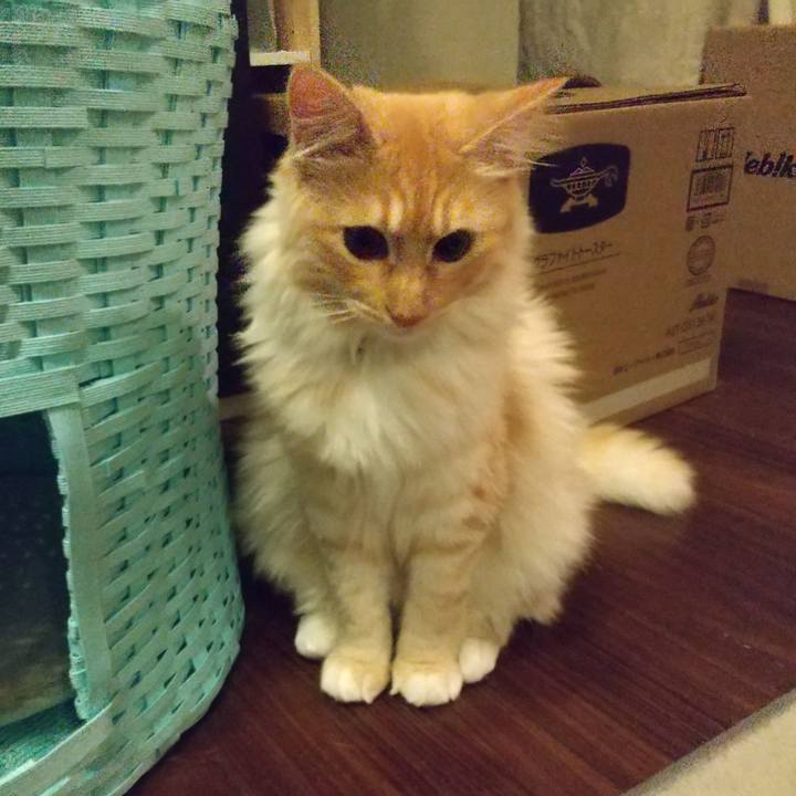 3eb8a900 3dec 499e 977b fe03955ee7b6 1621594554056