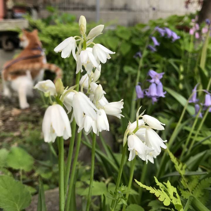 3eb8c42b b312 495d 9660 48a899a38e86 1525834066823