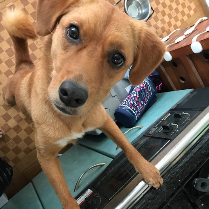 3eb8df79 2442 4926 8e22 e652106cd608 1532040441594