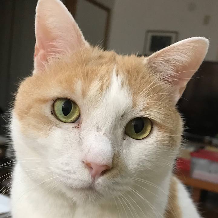 3eb8ee9c 0827 4f33 a910 45b6a206132a 1603360773261