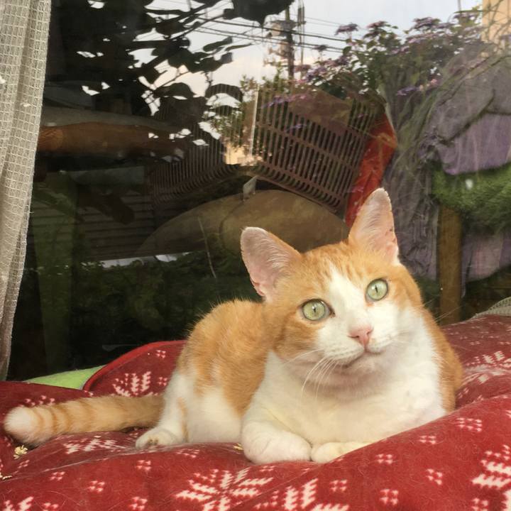 3eb9125a 60ad 4230 b796 0e6cabb2dc65 1594352375555