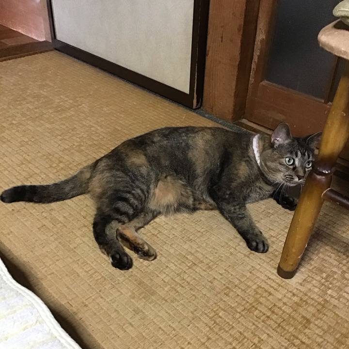 3eb94184 9561 4c97 90d1 acb937fc493e 1752752758085