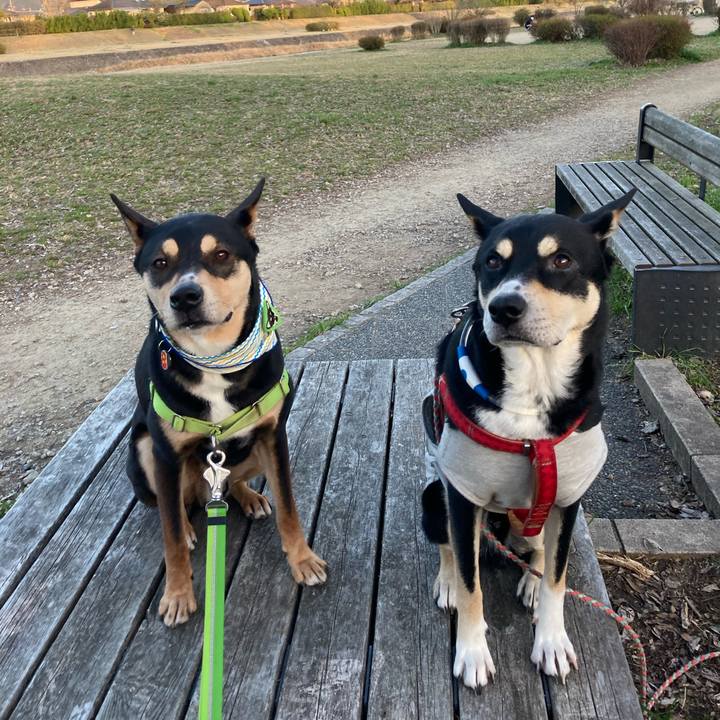 3eb94678 a4d5 4e1c b4ae 52a7eecd8c76 1615379984208