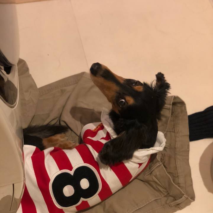 3eb9635a 06c9 480d b298 6165006b4b24 1544504660830