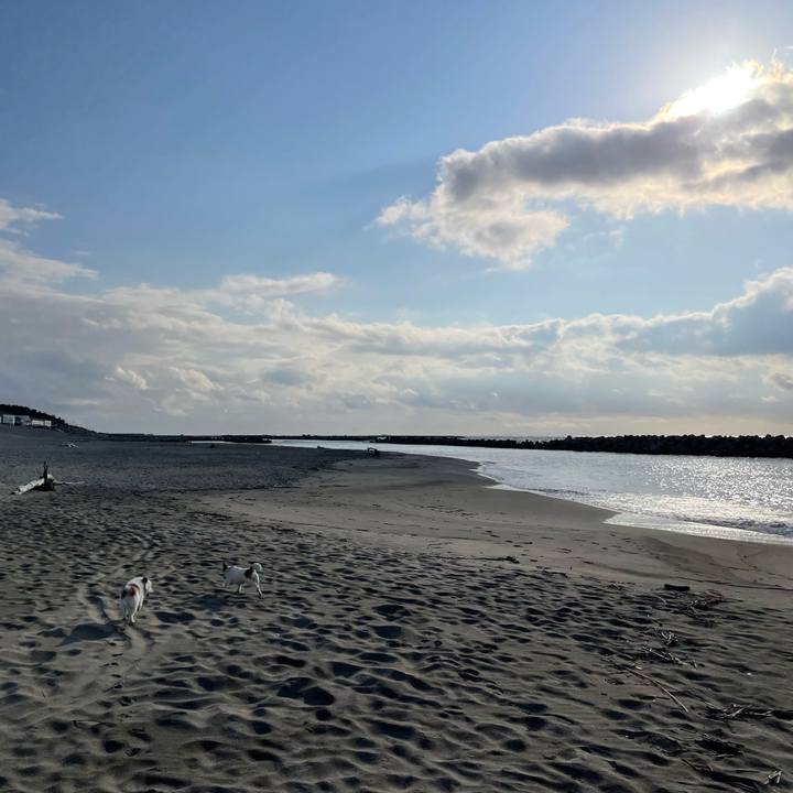 3eb9782d fe80 4314 bc55 4792e351ccbe 1683538908779