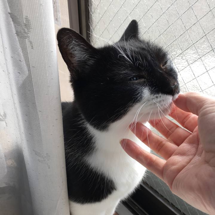 3eb9853a 18b0 4229 a187 431c6895cb66 1575020200783