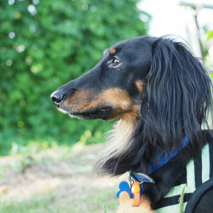 3eb99099 41be 408e 825e 80ddcd5e9217 1562635883380