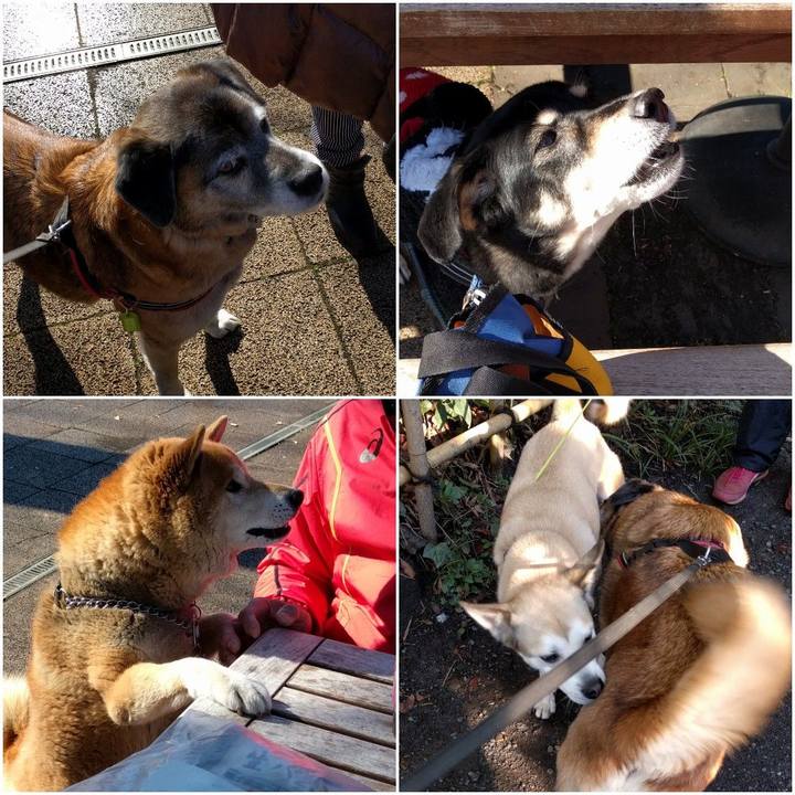 3eb9a255 19a3 44cf a7a4 7de8b81b6d98 1552005652576