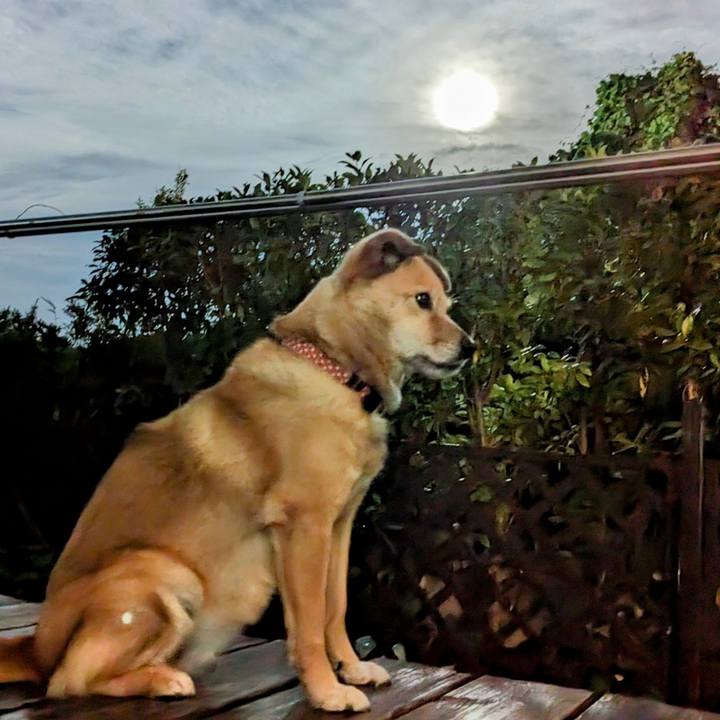 3eb9a54c c941 4a11 a04a 053e6c2eb544 1688390429616