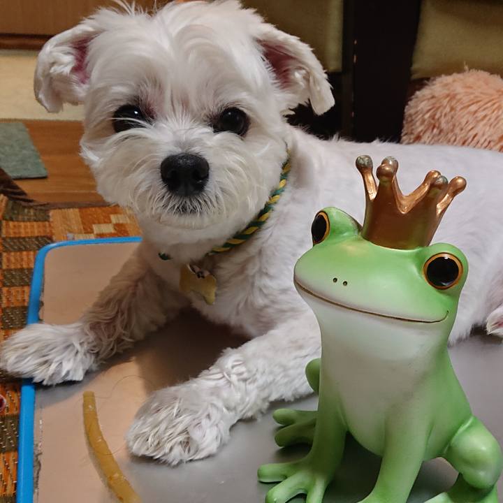 3eb9d310 1728 4eaa bc78 4ff5bb471f0c 1597482541138