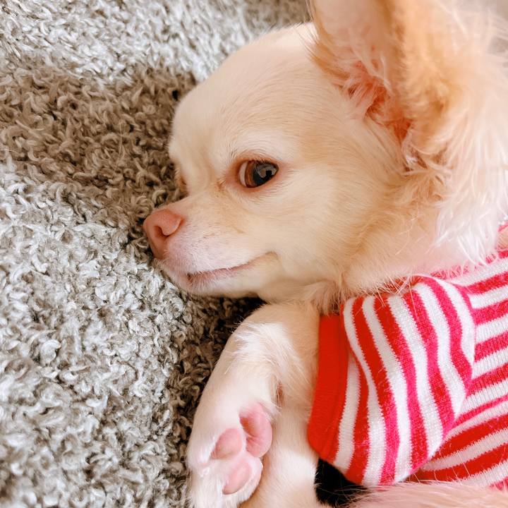 3eb9e8a7 3dac 4fd3 a615 b1e0bd878f9f 1658891142960