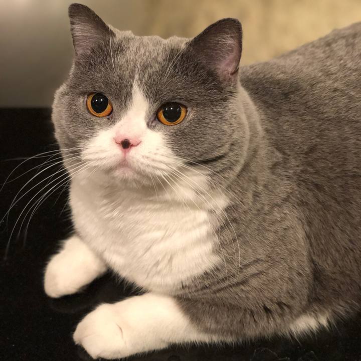 3eb9f4c5 ebe6 4f60 b3fd 427895034f4f 1511948483515