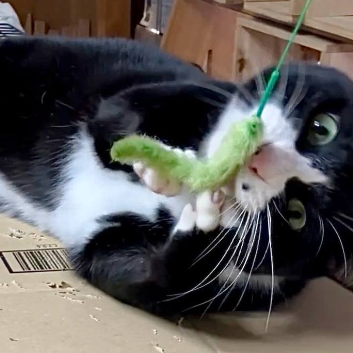 3eba0b32 fae9 45a8 b713 aa44c906de19 1736563918847