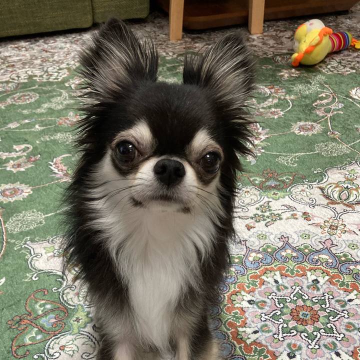 3eba4b0b 718a 408d b0c7 cd6fb2ce3d49 1664029776642