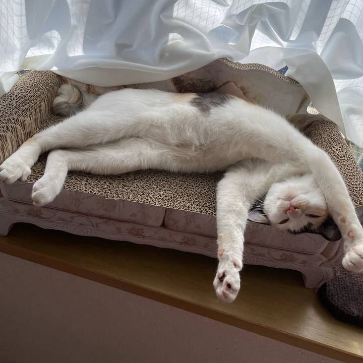 3eba6e9b fbe3 4a2d b50d 3454f2b824ea 1679443954864