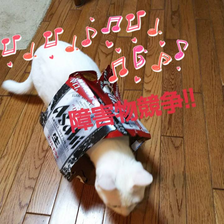3eba8262 ea1e 4519 97a3 43ff76c04e40 1539439362112
