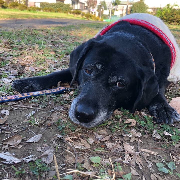 3eba9e06 6ce0 4d94 b25e 8a653ad9aea7 1606785919215