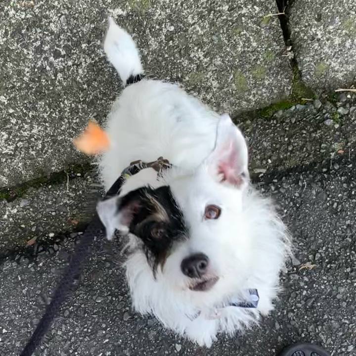 3ebac706 308e 4af6 b39c 0f0a921d0790 1663025173328