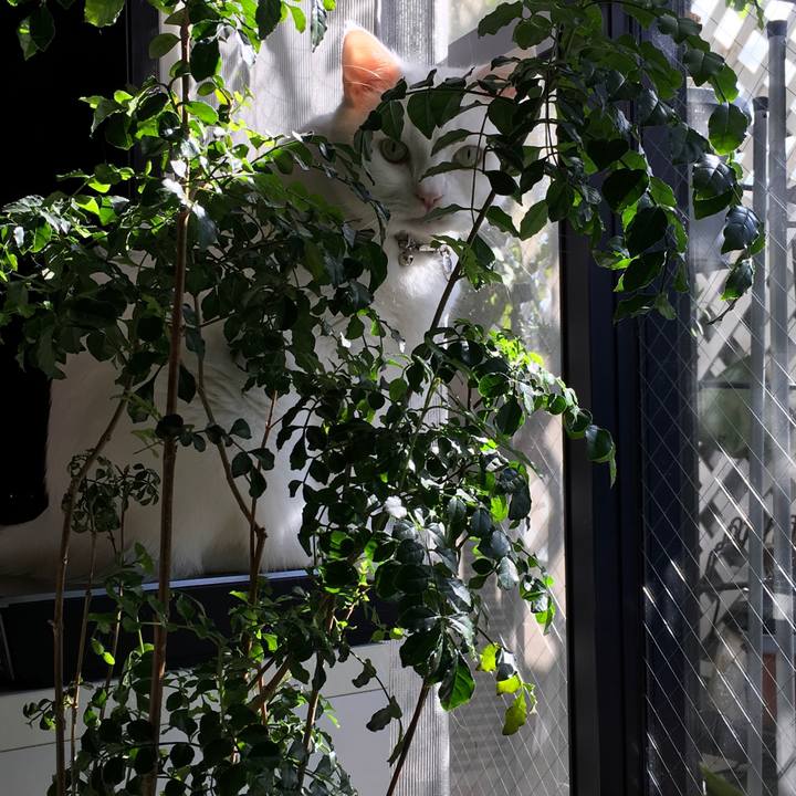 3ebace5b 34b1 46a1 92f1 c177190e5b89 1510799800460