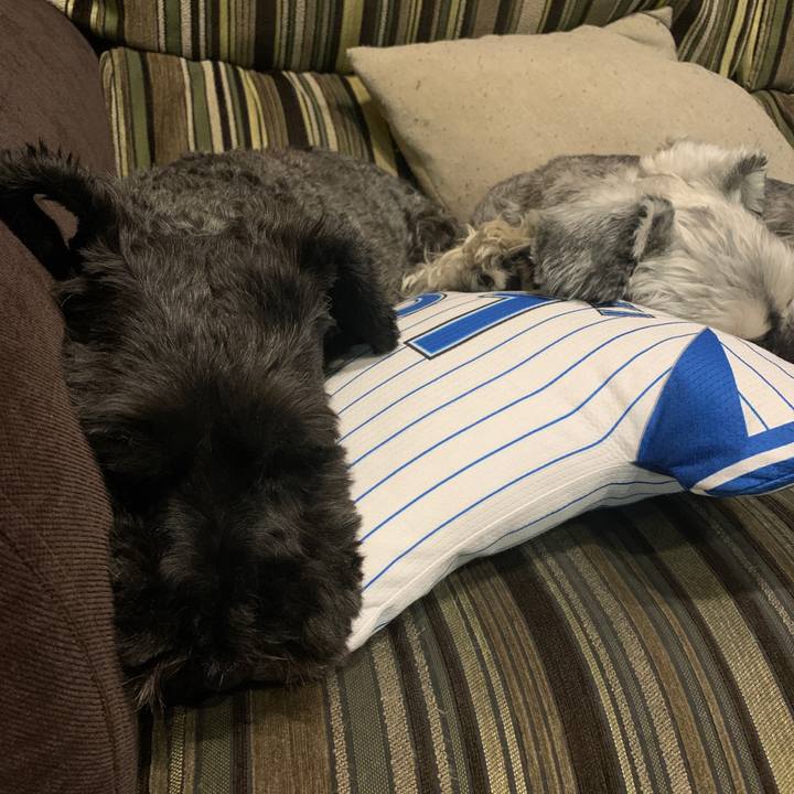 3ebadaa7 f8ab 462c 8f93 caffe262ad86 1599642680649