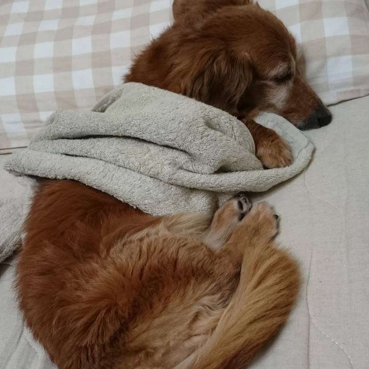 3ebaedfd fce8 47d0 afdb 73427d885cda 1663259918067