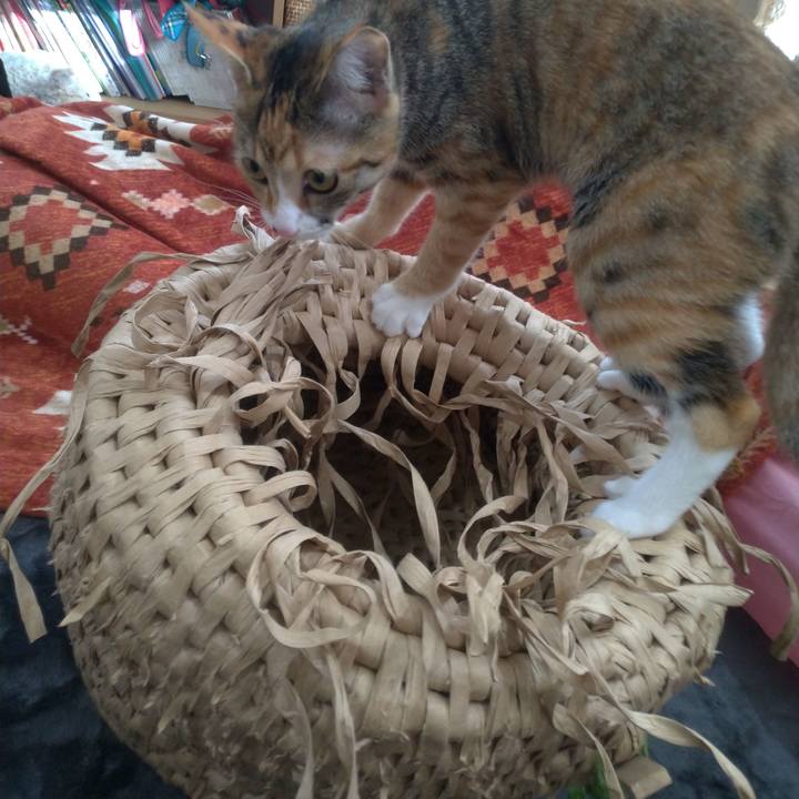 3ebb14d8 2d1a 45b8 bd2d 93410cf8c0a3 1577592006152