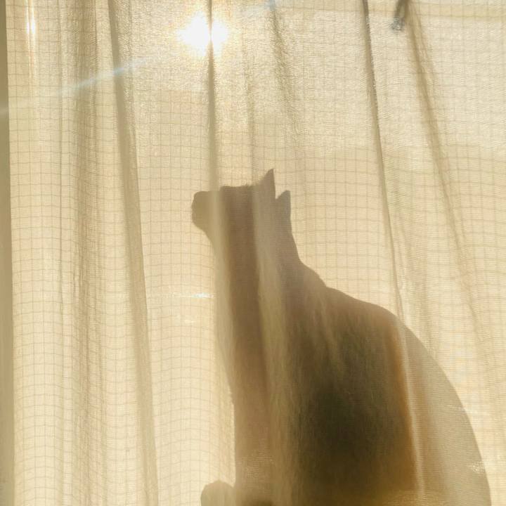 3ebb2293 39d6 4097 90ee 0d8d0a2b197a 1614768204977